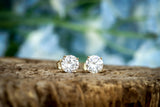 Diamond Stud Earrings 1/2 cttw White Gold